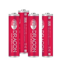 Dragon Alkaline AA Batteries Pack