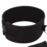 Lux Fetish Collar and Leash Set - Control Your Desires