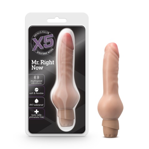 Dildo Vibrador X5 Mr. Right Now para Placer Supremo