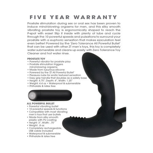 Vibrador Prostático Recargable Zero Tolerance Eternity - Placer de Precisión