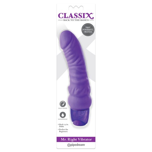 Pipedream Classix Mr. Right Vibrator 6.5 in. Purple