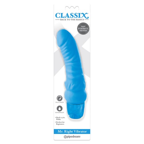 Pipedream Classix Mr. Right Realistic Vibrator