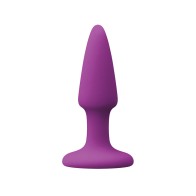 Mini Purple Pleasure Plug for Enhanced Intimacy