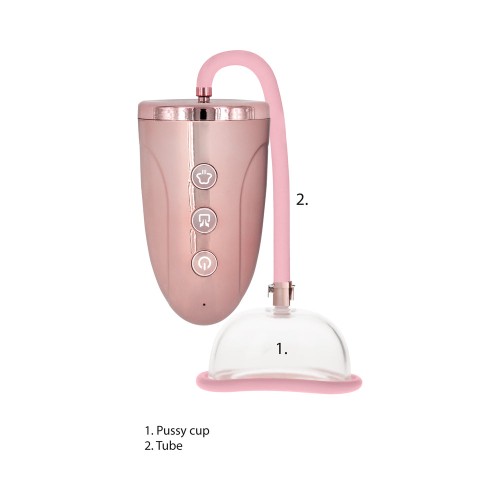 Pumped Rechargeable Pussy Pump