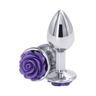 Plug Anal Pequeño Morado - Placer Asombroso