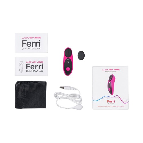 Lovense Ferri Bluetooth Panty Vibrator - Discreet Pleasure