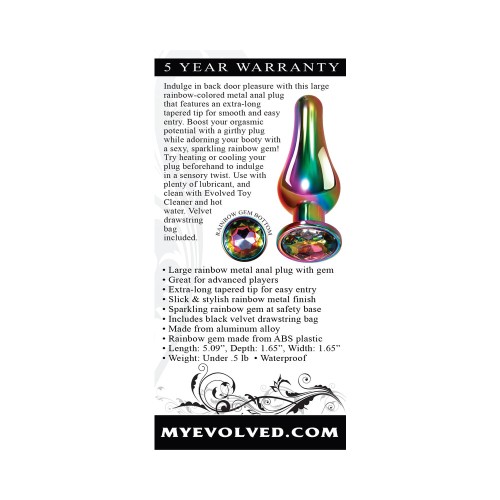 Rainbow Metal Anal Plug