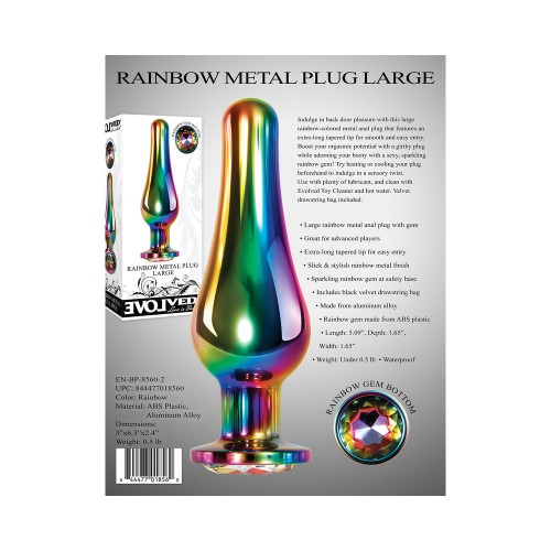 Rainbow Metal Anal Plug