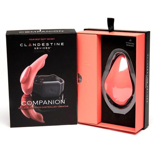 Companion Remote Control Panty Vibe for Couples Fun