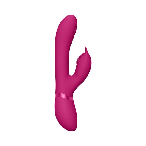 Rechargeable VIVE AIMI Rabbit Vibrator - Innovative Pleasure