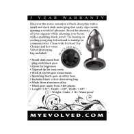 Evolved Black Gem Small Anal Plug