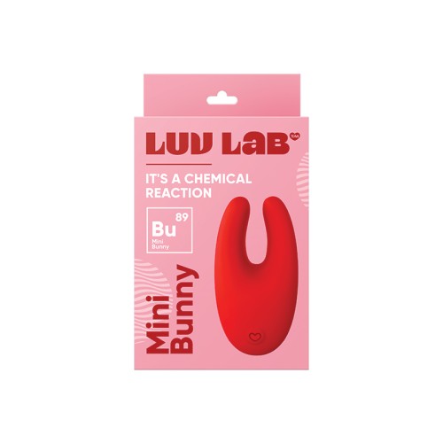 Luv Inc Mini Bunny Vibrator for Ultimate Pleasure