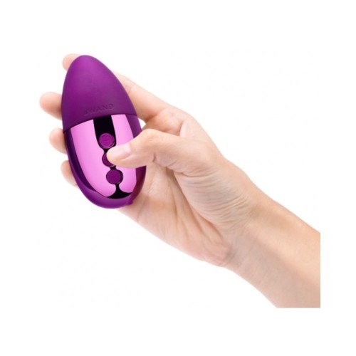 Le Wand Chrome Point Mini Vibrator Dark Cherry - Rechargeable Pleasure