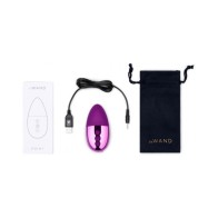 Le Wand Chrome Point Mini Vibrator Dark Cherry - Rechargeable Pleasure