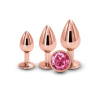 Rear Assets 3-Piece Metal Plug Kit Rose Gold/Pink