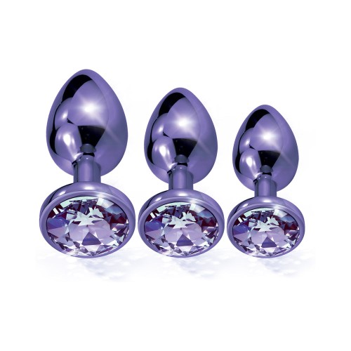 Nixie Metal Butt Plug Trainer Set in Purple