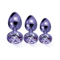 Nixie Metal Butt Plug Trainer Set in Purple