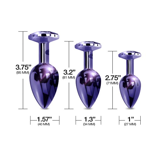 Nixie Metal Butt Plug Trainer Set in Purple