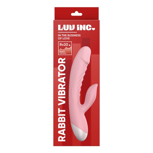 Vibrador Conejito Recargable Luv Inc Rv20 Estimulador Doble de Silicona Rosa