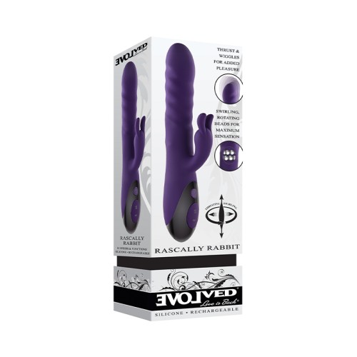 Evolved Rascally Rabbit Rechargeable Vibrator Purple