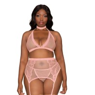 Dreamgirl Pink Queen Size Bra Garterbelt & G-String