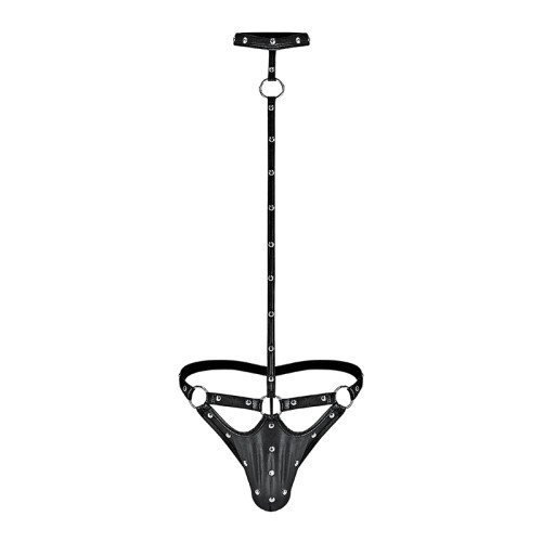 Male Power Fetish Tormentor Harness