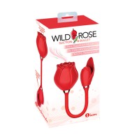 Wild Rose Suction and Bullet Vibrator