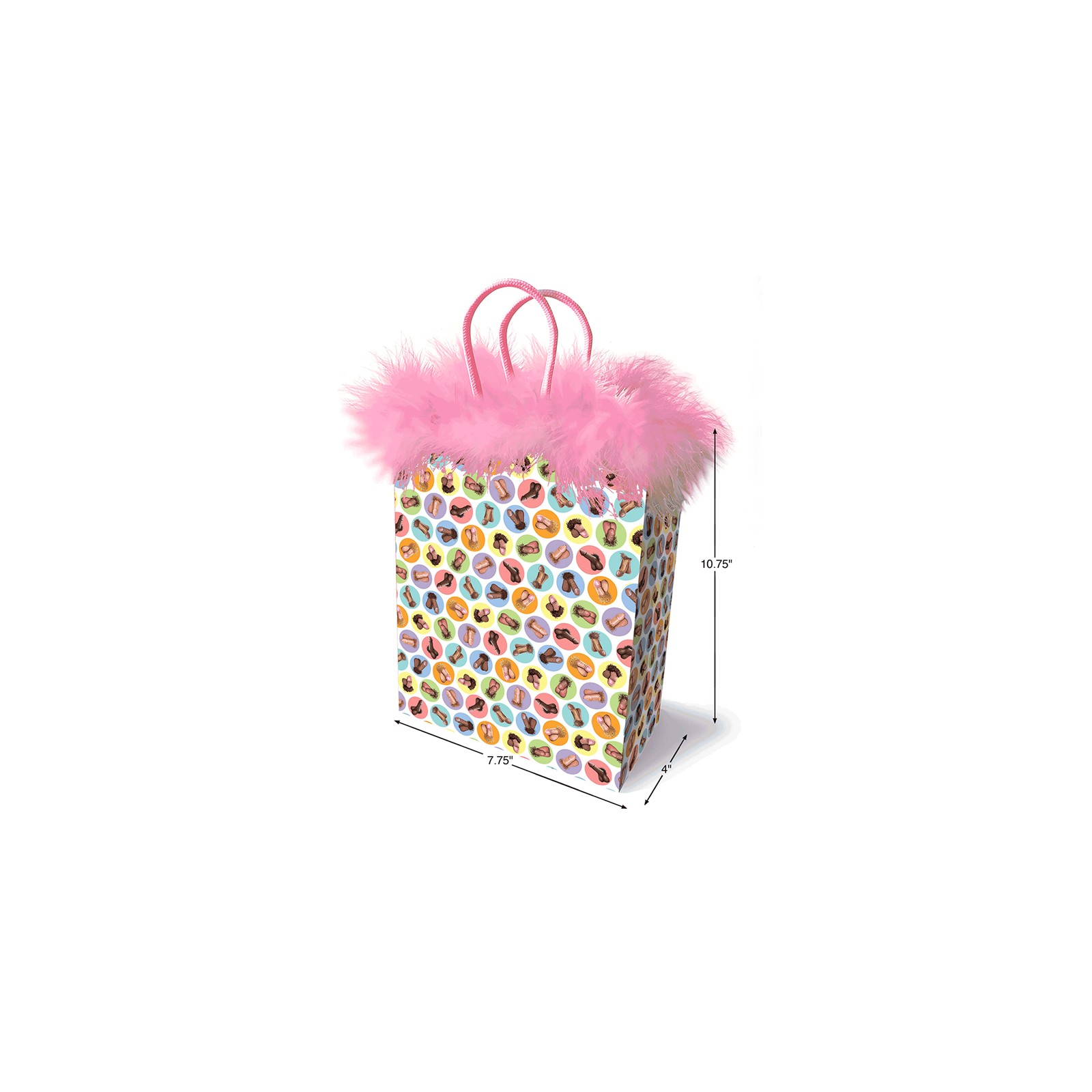 Dirty Penis Gift Bag for Themed Parties