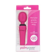 Rechargeable PalmPower Groove Wand Massager