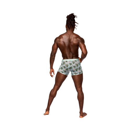 Male Power Seamless Sheer Flamingo Shorts