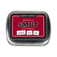 Magnetic Poetry Little Box of Smut Word Magnets