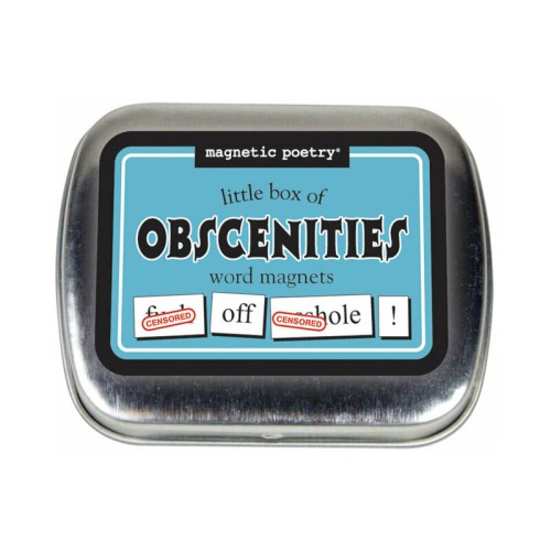 Magnetic Poetry Obscenities Word Magnets