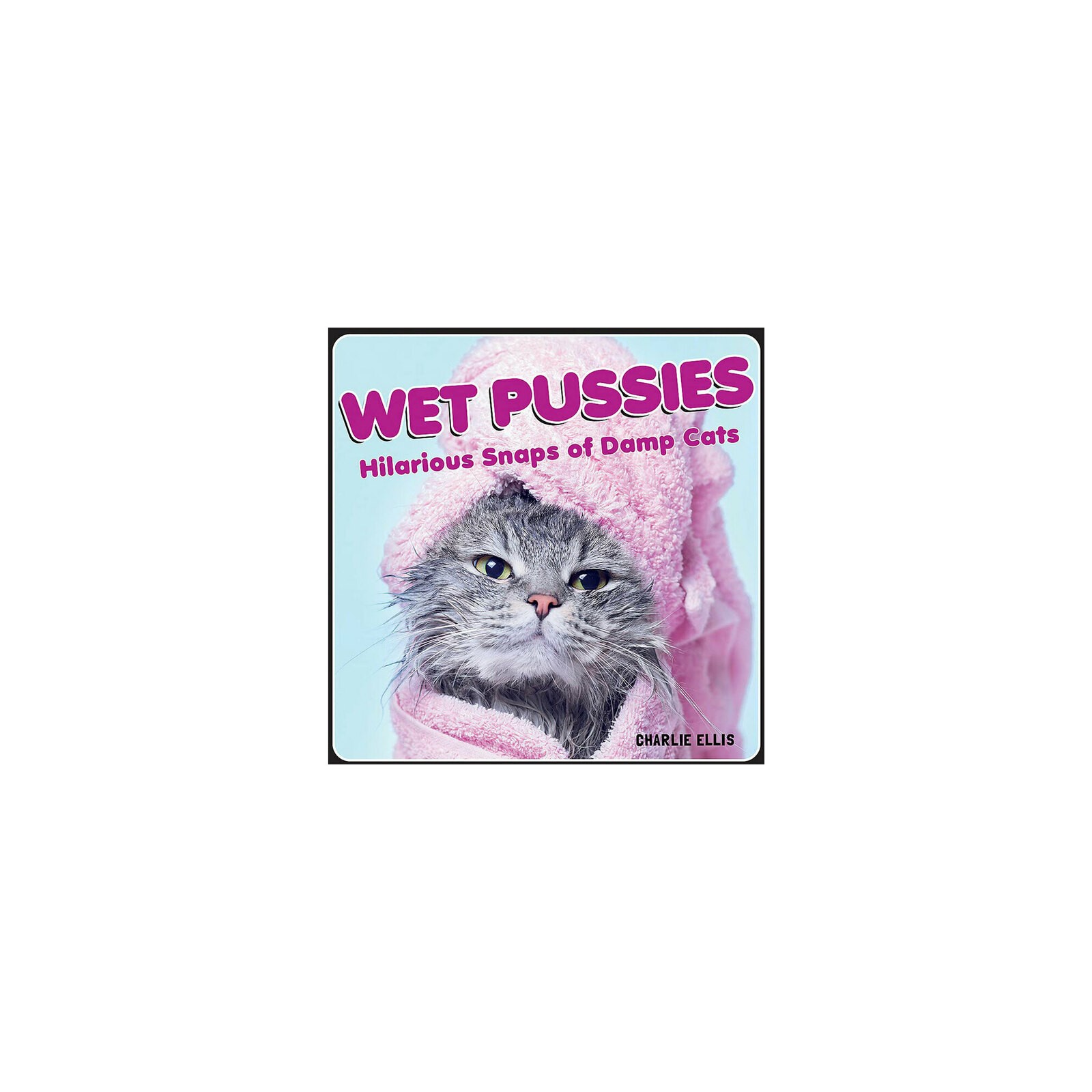 Wet Pussies Hilarious Cat Photos