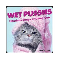 Wet Pussies Hilarious Cat Photos