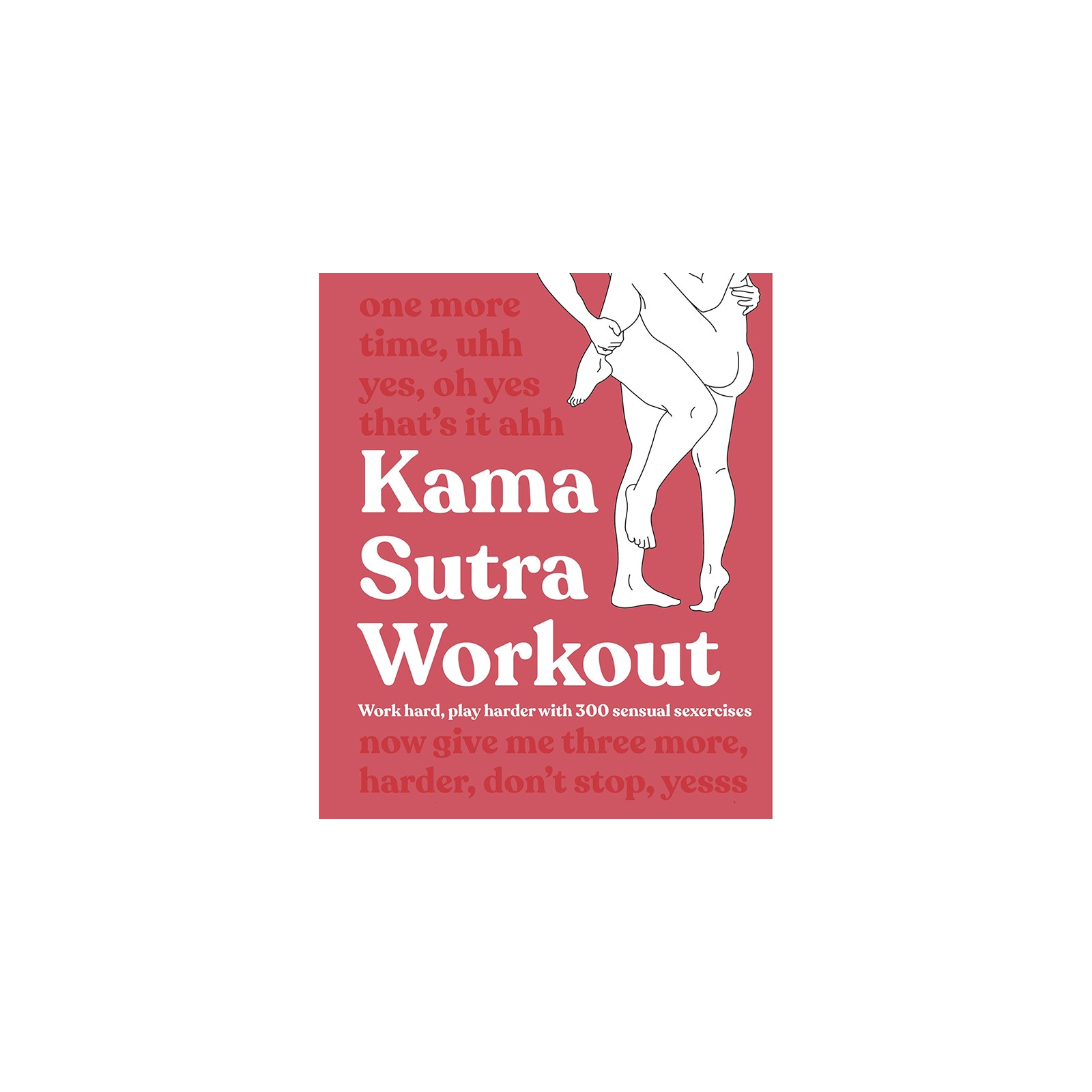 Kama Sutra Workout - 300 Sexercises Sensuales