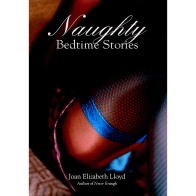 Naughty Bedtime Stories Book