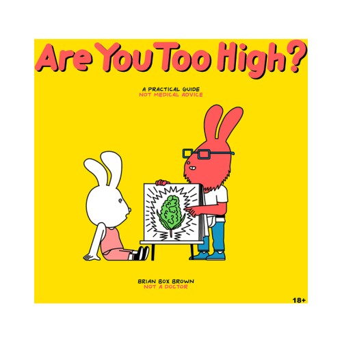 Are You Too High? A Practical Guide for Cannabis Users