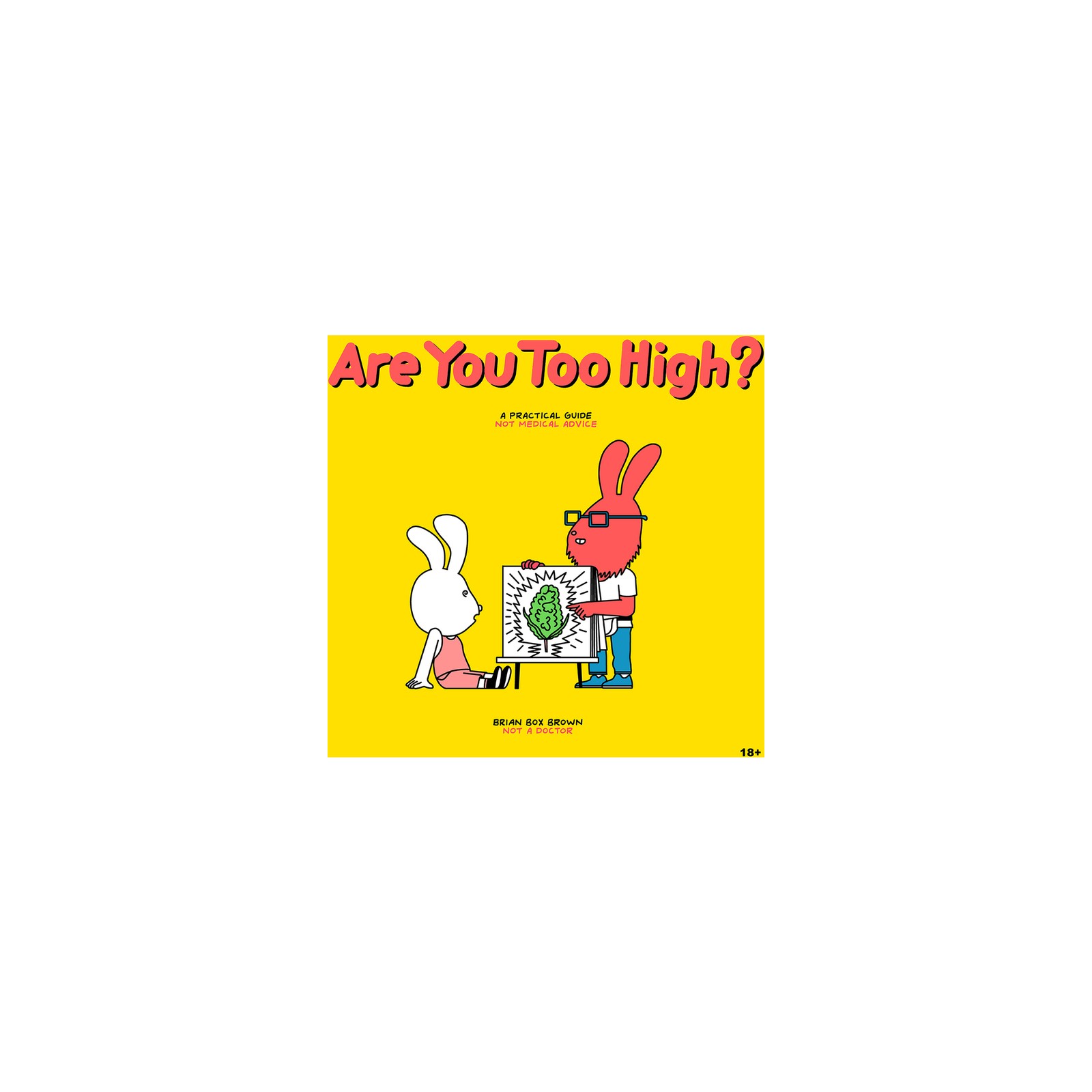 Are You Too High? A Practical Guide for Cannabis Users