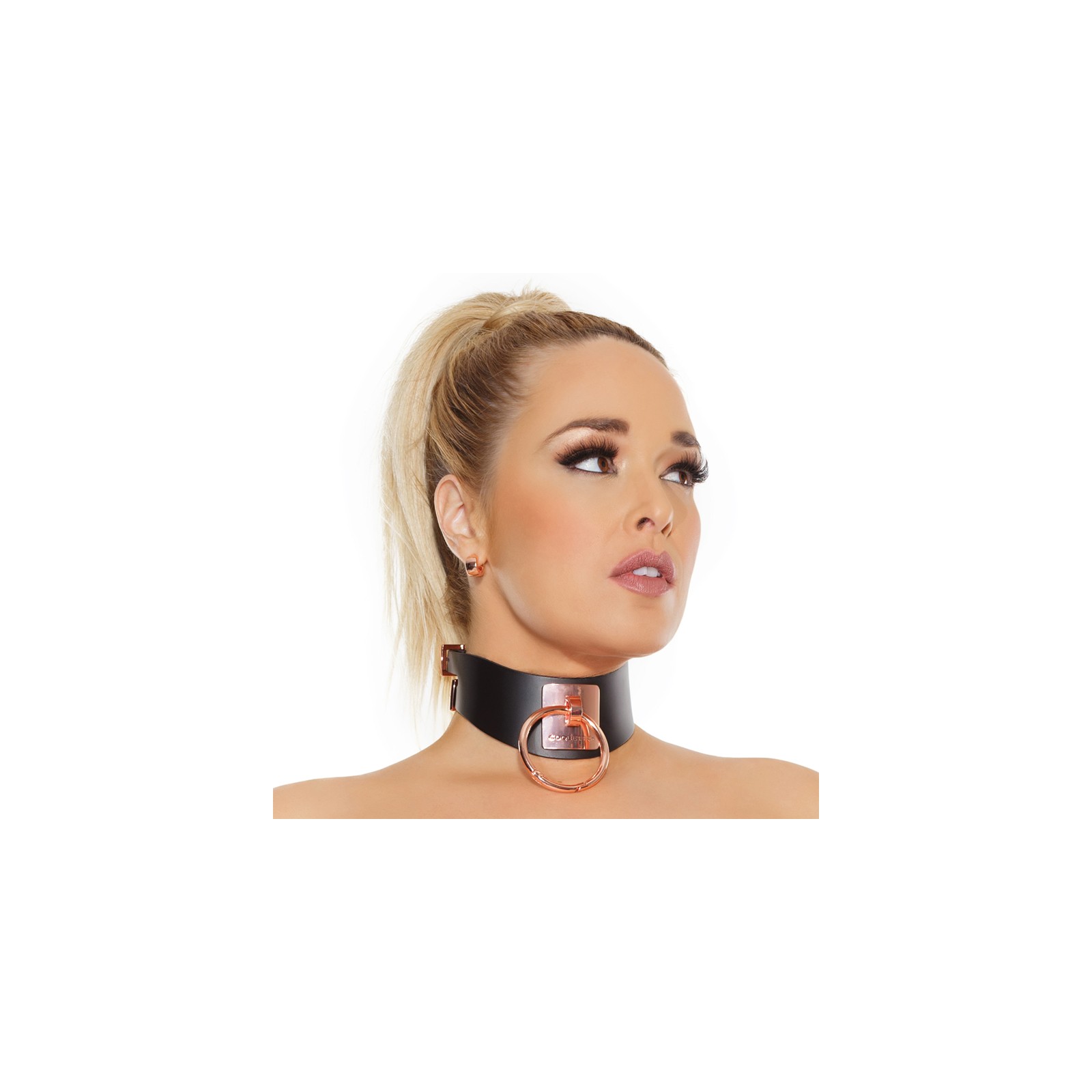 Shop Coquette Pleasure Collection Collar