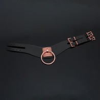 Shop Coquette Pleasure Collection Collar