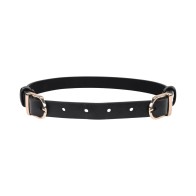 Sportsheets Double Buckle Day Collar