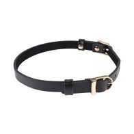 Sportsheets Double Buckle Day Collar