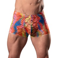 Male Power Pantalones Cortos con Bolsa de Encaje Multicolor L