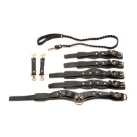 Bedroom Bliss Vegan Leather Restrains Set