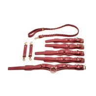 Bedroom Bliss Lover's Restraints Set Red