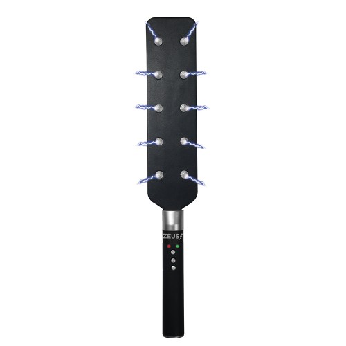 Zeus Electrosex E-Stim Spiked Paddle