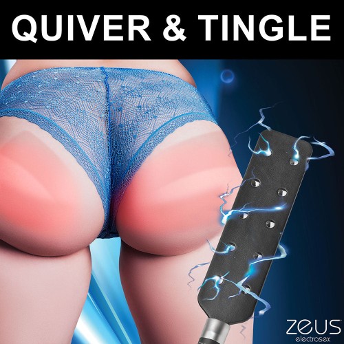 Zeus Electrosex E-Stim Spiked Paddle