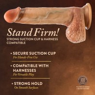 Renaissance Raphael Dildo - Realistic and Sensational