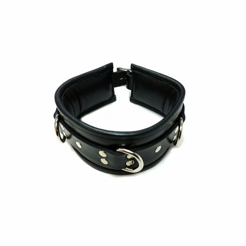 Rouge Padded Leather Collar for BDSM Play