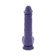 Evolved Pleasure Rider Rechargeable Dildo with Remote - Intense Satisfaction